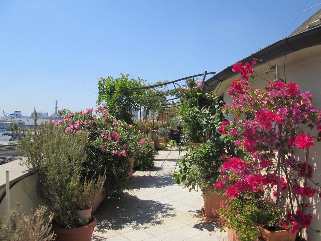 La Terrazza Sul Porto *